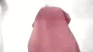 Frigs manhã assfucking gf e drenos seu clímax em seu videos de sexo lesbico selvagem rosto