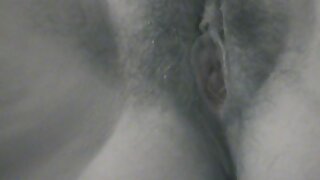 Vestir