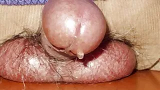 Skinn ragazza videos de sexo selvagem e violento menina com bom leites tinha sexo pov