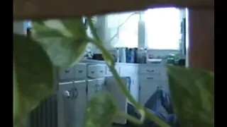 O tipo sexo bruto selvagem duro lambeu primeiro o ânus da miúda e depois fodeu fundo
